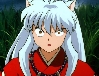 Inu Yasha looks annoyed