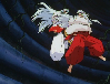 Sesshomaru's fluffy