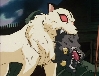 Kirara