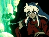Inu Yasha finds the nest