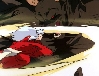 Inu Yasha fights