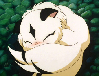 Kirara in the catnip