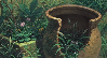 Jar with hosta behind