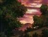 sunset through the treez