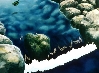 stream