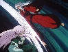Inuyasha and Juromaru