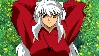 Inu Yasha in the grass