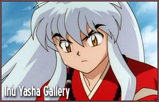 Inu Yasha Gallery